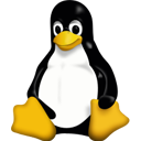 Acesso remoto para Linux